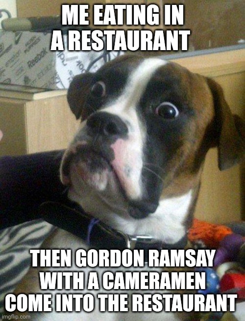 . | ME EATING IN A RESTAURANT; THEN GORDON RAMSAY WITH A CAMERAMEN COME INTO THE RESTAURANT | image tagged in blankie the shocked dog,memes,funny | made w/ Imgflip meme maker