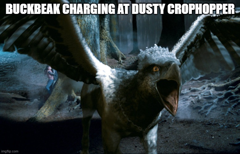 Buckbeak charging | BUCKBEAK CHARGING AT DUSTY CROPHOPPER | image tagged in buckbeak charging | made w/ Imgflip meme maker