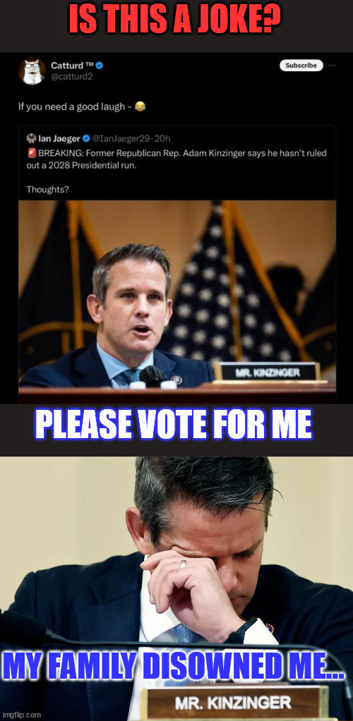 Desperate rino - 2028 | IS THIS A JOKE? PLEASE VOTE FOR ME; MY FAMILY DISOWNED ME... | image tagged in adam kinzinger crying,desperate,rino | made w/ Imgflip meme maker