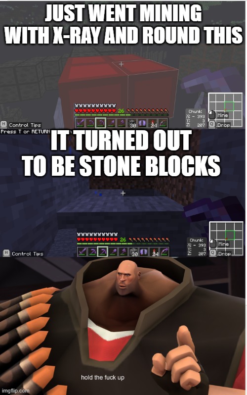 hold up what | JUST WENT MINING WITH X-RAY AND ROUND THIS; IT TURNED OUT TO BE STONE BLOCKS | image tagged in hold up | made w/ Imgflip meme maker