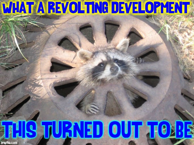 For those who think Raccoons Live the Life of Riley | WHAT A REVOLTING DEVELOPMENT; THIS TURNED OUT TO BE | image tagged in vince vance,raccoon,stuck,sewer,memes,funny animals | made w/ Imgflip meme maker