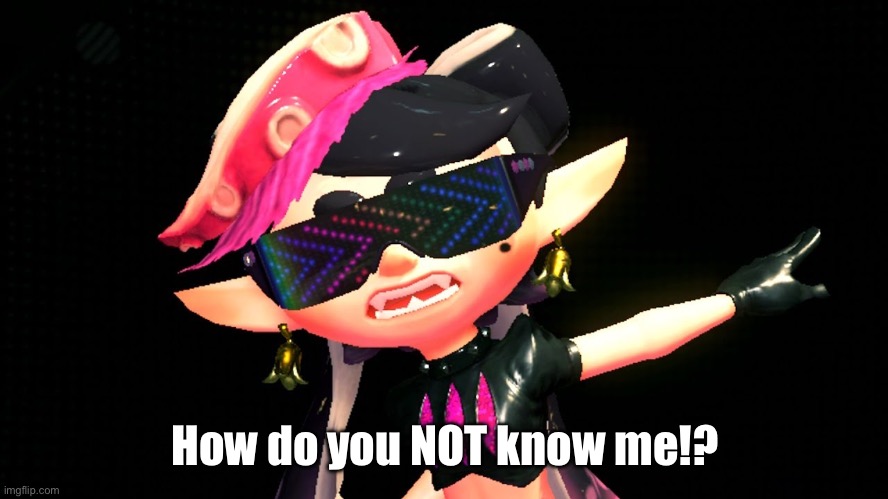 Callie boss fight | How do you NOT know me!? | image tagged in callie boss fight | made w/ Imgflip meme maker