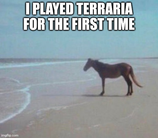 Where am I? What is this? | I PLAYED TERRARIA FOR THE FIRST TIME | image tagged in man horse water | made w/ Imgflip meme maker