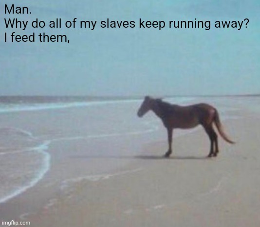 I feed them, | Man.
Why do all of my slaves keep running away?
I feed them, | image tagged in man horse water | made w/ Imgflip meme maker