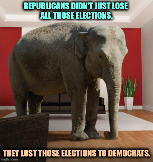Take it the next step. Think it through. The American people preferred Democrats. | REPUBLICANS DIDN'T JUST LOSE 
ALL THOSE ELECTIONS. THEY LOST THOSE ELECTIONS TO DEMOCRATS. | image tagged in elephant in the room,republicans,losers,democrats,winners | made w/ Imgflip meme maker