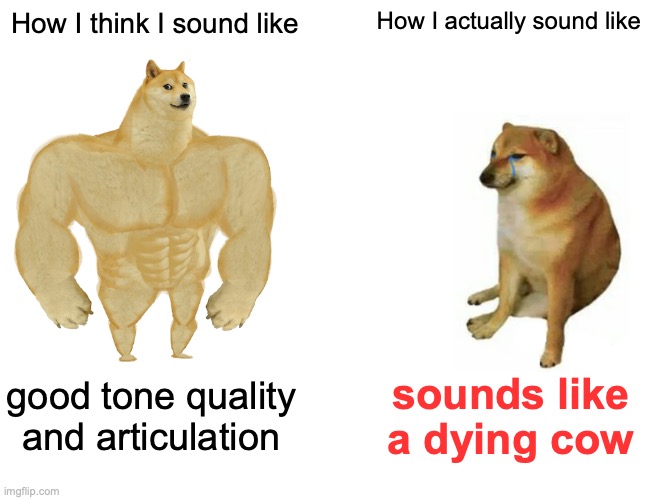 Very relatable | How I think I sound like; How I actually sound like; good tone quality and articulation; sounds like a dying cow | image tagged in memes,buff doge vs cheems | made w/ Imgflip meme maker