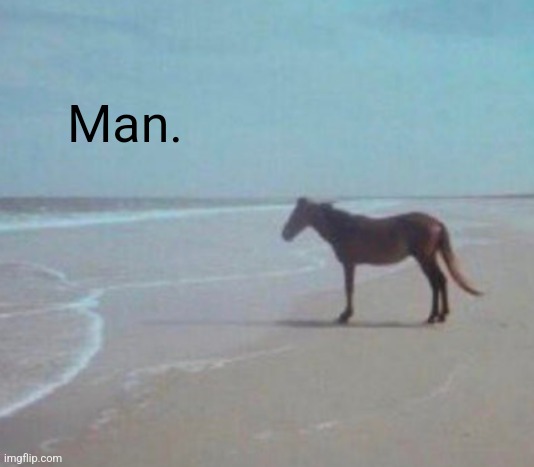 Man. | Man. | image tagged in man horse water | made w/ Imgflip meme maker