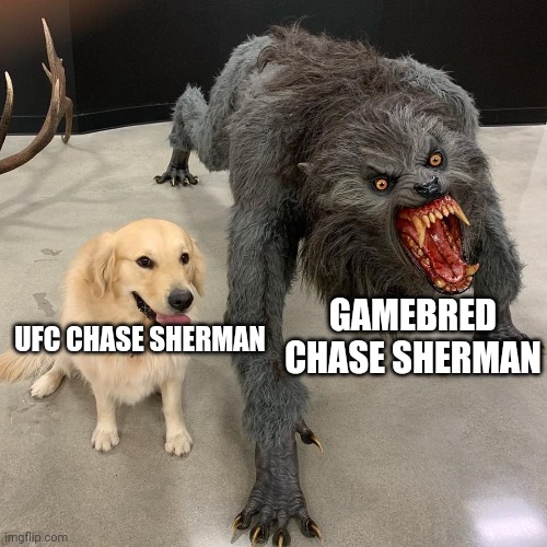 Good dog scary dog | GAMEBRED CHASE SHERMAN; UFC CHASE SHERMAN | image tagged in good dog scary dog | made w/ Imgflip meme maker