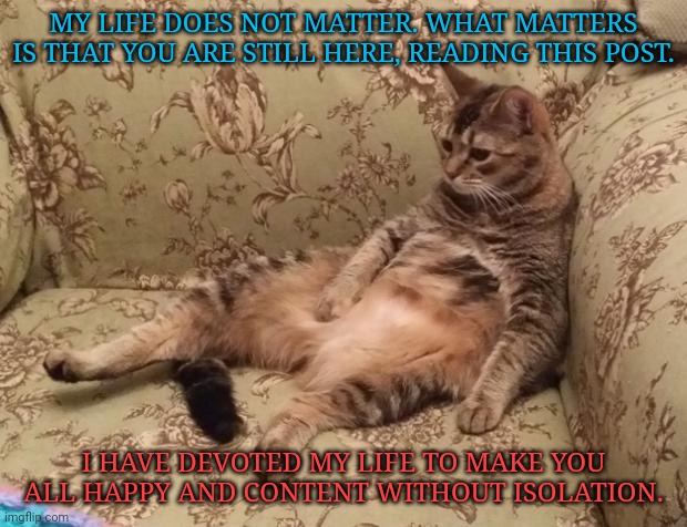 Mocha Chilling | MY LIFE DOES NOT MATTER. WHAT MATTERS IS THAT YOU ARE STILL HERE, READING THIS POST. I HAVE DEVOTED MY LIFE TO MAKE YOU ALL HAPPY AND CONTENT WITHOUT ISOLATION. | image tagged in mocha chilling | made w/ Imgflip meme maker