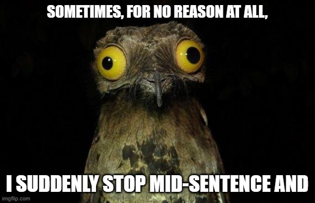 Weird Stuff I Do Potoo Meme | SOMETIMES, FOR NO REASON AT ALL, I SUDDENLY STOP MID-SENTENCE AND | image tagged in memes,weird stuff i do potoo | made w/ Imgflip meme maker