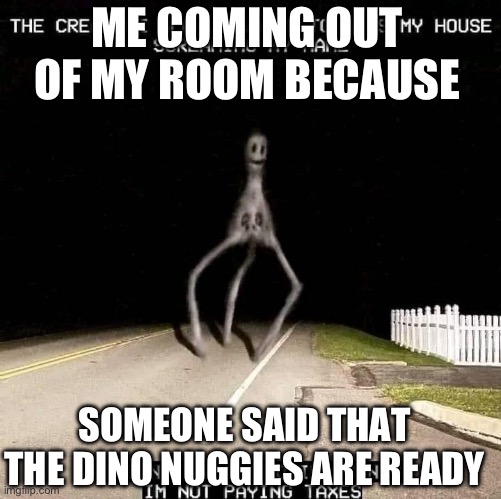 Me | ME COMING OUT OF MY ROOM BECAUSE; SOMEONE SAID THAT THE DINO NUGGIES ARE READY | image tagged in i don t care who irs sends | made w/ Imgflip meme maker