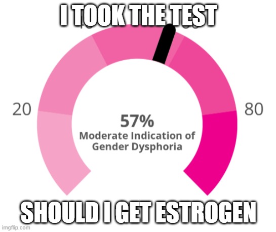 i took a gender dysphoria test | I TOOK THE TEST; SHOULD I GET ESTROGEN | image tagged in gender identity,gender confusion | made w/ Imgflip meme maker