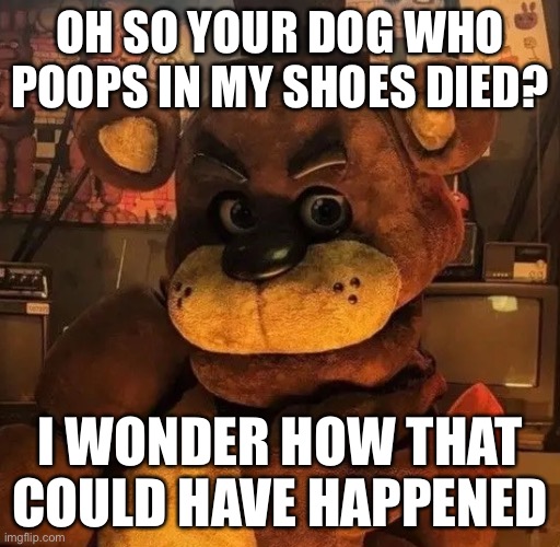 Freddy Fazbear Meme | OH SO YOUR DOG WHO POOPS IN MY SHOES DIED? I WONDER HOW THAT COULD HAVE HAPPENED | image tagged in freddy,fnaf,five nights at freddy's | made w/ Imgflip meme maker