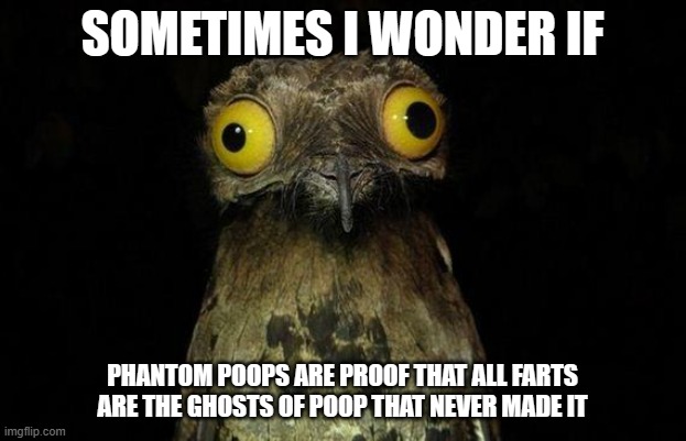 Weird Stuff I Do Potoo | SOMETIMES I WONDER IF; PHANTOM POOPS ARE PROOF THAT ALL FARTS ARE THE GHOSTS OF POOP THAT NEVER MADE IT | image tagged in memes,weird stuff i do potoo | made w/ Imgflip meme maker