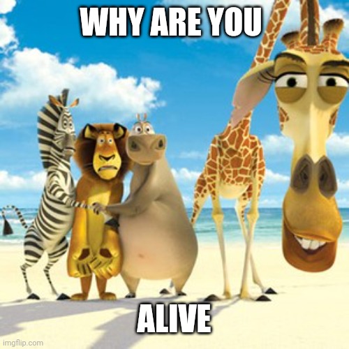 why are you white | WHY ARE YOU; ALIVE | image tagged in why are you white | made w/ Imgflip meme maker