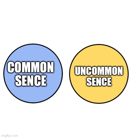 Venn with no overlap, differences | COMMON SENCE UNCOMMON SENCE | image tagged in venn with no overlap differences | made w/ Imgflip meme maker