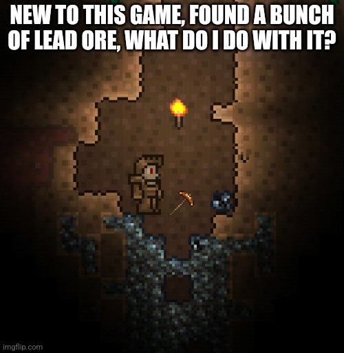 Whar do I do | NEW TO THIS GAME, FOUND A BUNCH OF LEAD ORE, WHAT DO I DO WITH IT? | image tagged in terraria | made w/ Imgflip meme maker