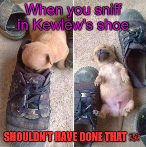 When you sniff in Kewlew's shoe; SHOULDN'T HAVE DONE THAT ☠ | image tagged in shouldn't have done that template | made w/ Imgflip meme maker