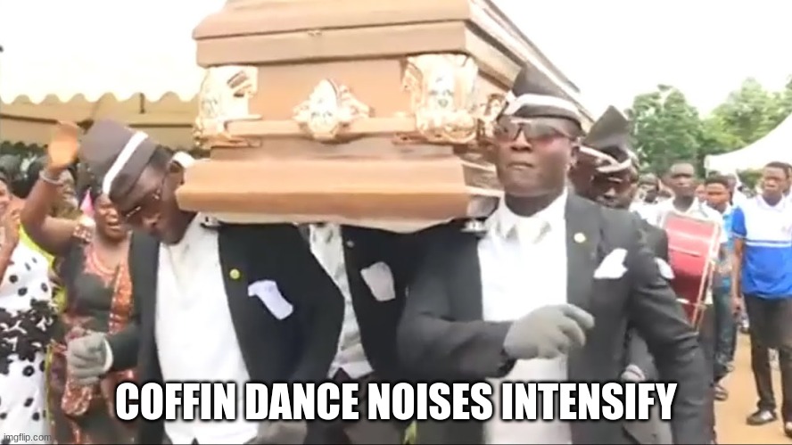 Coffin Dance | COFFIN DANCE NOISES INTENSIFY | image tagged in coffin dance | made w/ Imgflip meme maker