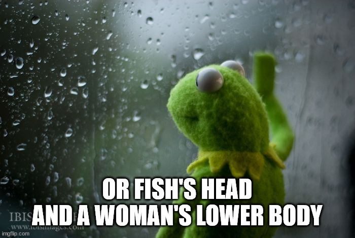 kermit window | OR FISH'S HEAD AND A WOMAN'S LOWER BODY | image tagged in kermit window | made w/ Imgflip meme maker