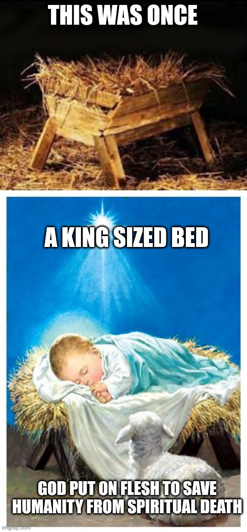 THIS WAS ONCE; A KING SIZED BED; GOD PUT ON FLESH TO SAVE HUMANITY FROM SPIRITUAL DEATH | image tagged in please have a manger call me,baby jesus | made w/ Imgflip meme maker