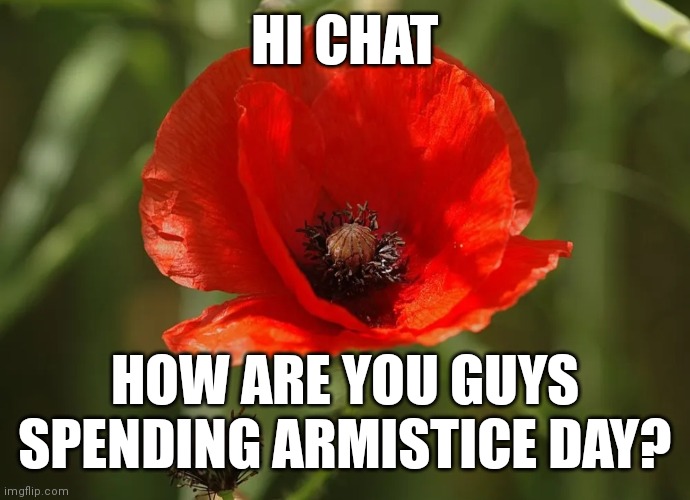 HI CHAT; HOW ARE YOU GUYS SPENDING ARMISTICE DAY? | made w/ Imgflip meme maker