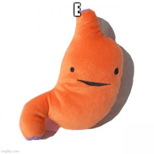 plush stomach | E | image tagged in plush stomach | made w/ Imgflip meme maker