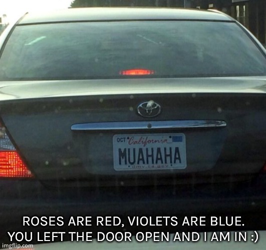 License Plate | ROSES ARE RED, VIOLETS ARE BLUE. YOU LEFT THE DOOR OPEN AND I AM IN :) | image tagged in license plate | made w/ Imgflip meme maker