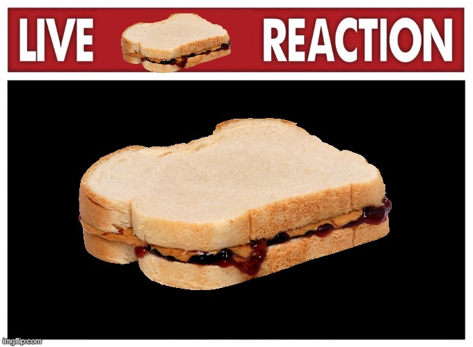 Live sandwich reaction | image tagged in live reaction | made w/ Imgflip meme maker