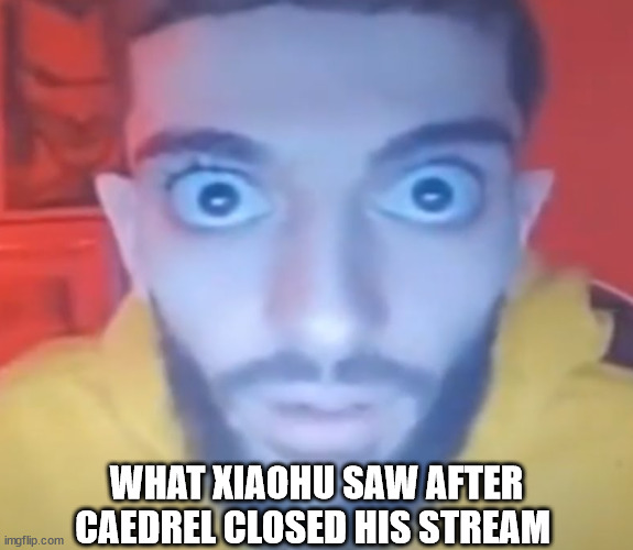 Wake up Wake up Wake up Wake up | WHAT XIAOHU SAW AFTER CAEDREL CLOSED HIS STREAM | image tagged in wake up wake up wake up wake up | made w/ Imgflip meme maker