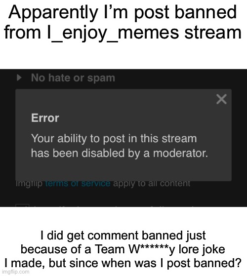 I was actually trying to submit a good image there too | Apparently I’m post banned from I_enjoy_memes stream; I did get comment banned just because of a Team W******y lore joke I made, but since when was I post banned? | made w/ Imgflip meme maker