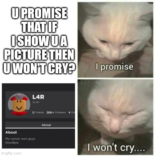 I don't know how this guy was but we will remember him | U PROMISE THAT IF I SHOW U A PICTURE THEN U WON'T CRY? | image tagged in i promise i won't cry | made w/ Imgflip meme maker