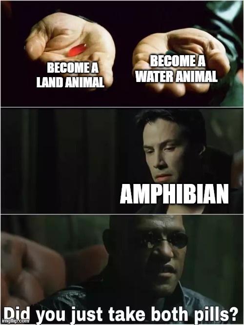 Which animal to be | BECOME A WATER ANIMAL; BECOME A LAND ANIMAL; AMPHIBIAN | image tagged in matrix morpheus | made w/ Imgflip meme maker