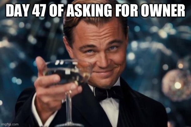 Leonardo Dicaprio Cheers Meme | DAY 47 OF ASKING FOR OWNER | image tagged in memes,leonardo dicaprio cheers | made w/ Imgflip meme maker