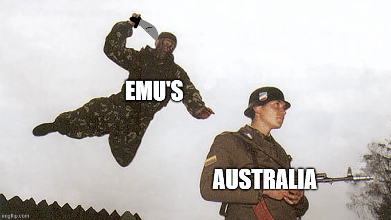 Soldier jump spetznaz | EMU'S; AUSTRALIA | image tagged in soldier jump spetznaz | made w/ Imgflip meme maker