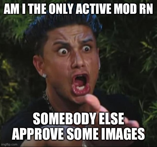 DJ Pauly D | AM I THE ONLY ACTIVE MOD RN; SOMEBODY ELSE APPROVE SOME IMAGES | image tagged in memes,dj pauly d | made w/ Imgflip meme maker