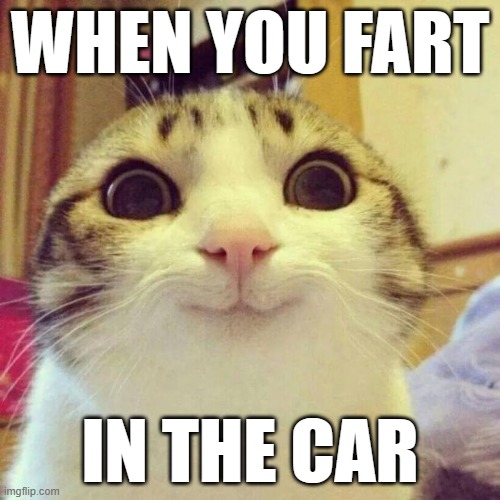 Smiling Cat Meme | WHEN YOU FART; IN THE CAR | image tagged in memes,smiling cat | made w/ Imgflip meme maker
