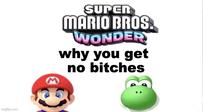 Why you get no bitches | why you get
 no bitches | image tagged in mario,yoshi,no bitches | made w/ Imgflip meme maker