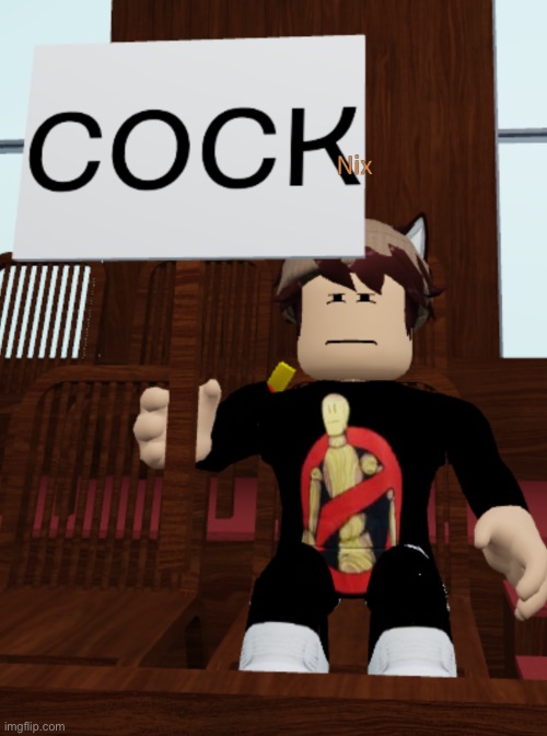 This is moderation. | image tagged in roblox | made w/ Imgflip meme maker