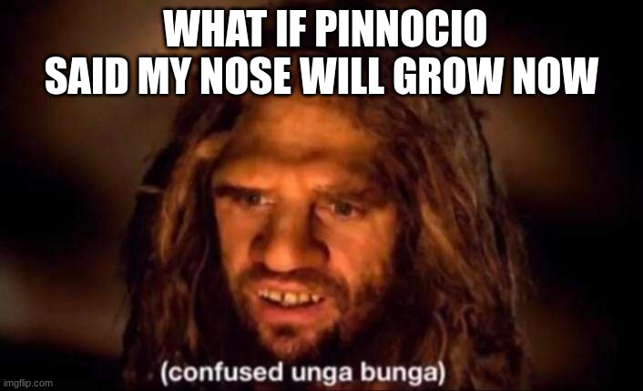 This Thought Keeps Me Up At Night | WHAT IF PINNOCIO SAID MY NOSE WILL GROW NOW | image tagged in confused unga bunga | made w/ Imgflip meme maker