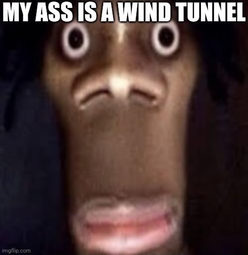 W I N D | MY ASS IS A WIND TUNNEL | image tagged in quandale dingle | made w/ Imgflip meme maker