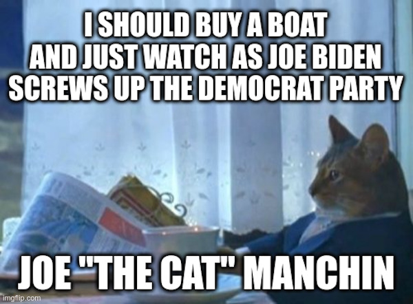 Joe "The Cat" Manchin Contemplates The Future of the Democrat Party | image tagged in joe manchin,west virginia,cat,joe biden,delaware,i have no idea what i am doing dog | made w/ Imgflip meme maker