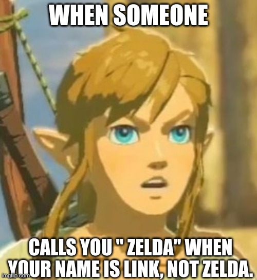 Offended Link | WHEN SOMEONE; CALLS YOU " ZELDA" WHEN YOUR NAME IS LINK, NOT ZELDA. | image tagged in offended link | made w/ Imgflip meme maker
