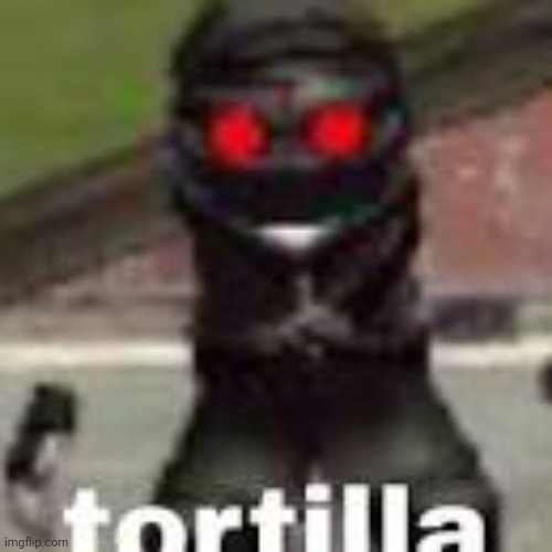 tortilla | image tagged in tortilla | made w/ Imgflip meme maker