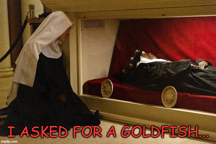 Crap Goldfish | I ASKED FOR A GOLDFISH... | image tagged in nun,goldfish | made w/ Imgflip meme maker