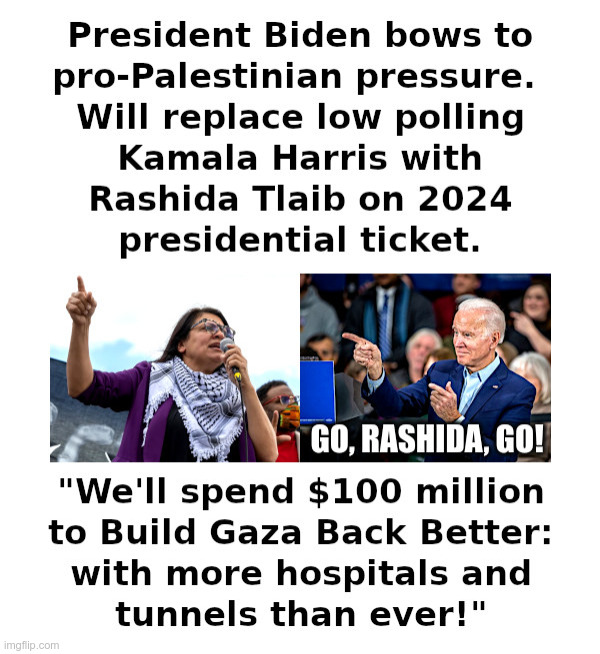 President Biden Bows To Pro-Palestinian Pressure | image tagged in joe biden,palestine,rashida tlaib,in,kamala harris,out | made w/ Imgflip meme maker