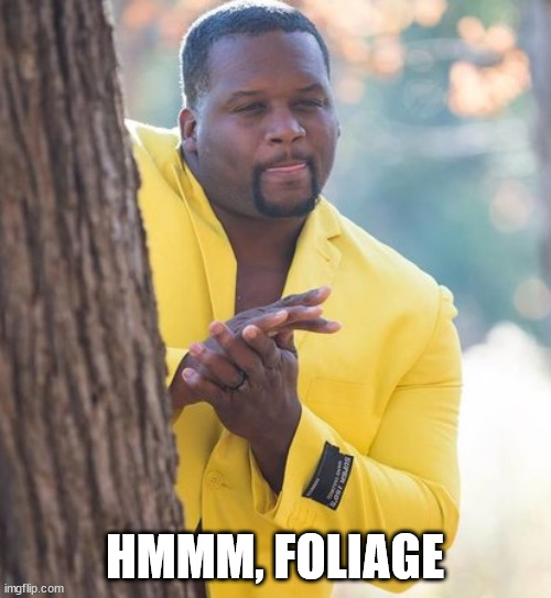 Rubbing hands | HMMM, FOLIAGE | image tagged in rubbing hands | made w/ Imgflip meme maker