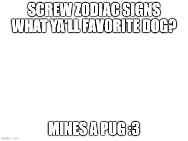screw it | SCREW ZODIAC SIGNS WHAT YA'LL FAVORITE DOG? MINES A PUG :3 | image tagged in pugs,zodiac signs | made w/ Imgflip meme maker