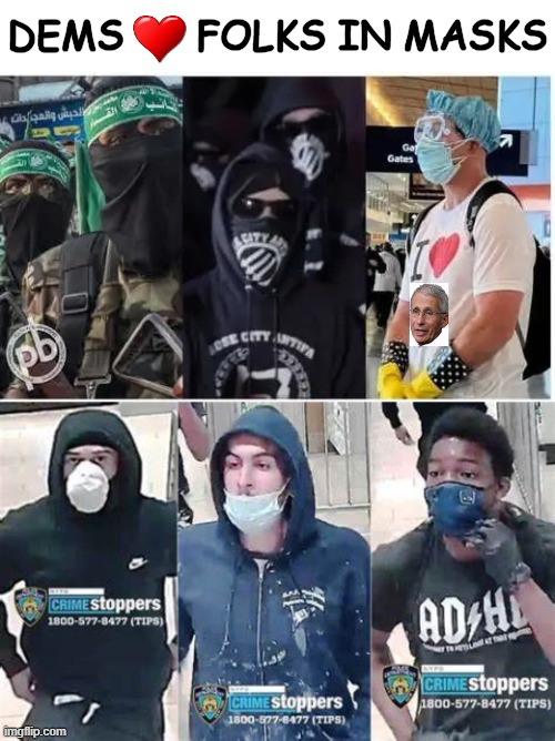 Masking The Truth | DEMS      FOLKS IN MASKS | image tagged in politics,political humor,sad but true,masks,democrats,hiding in plain sight | made w/ Imgflip meme maker