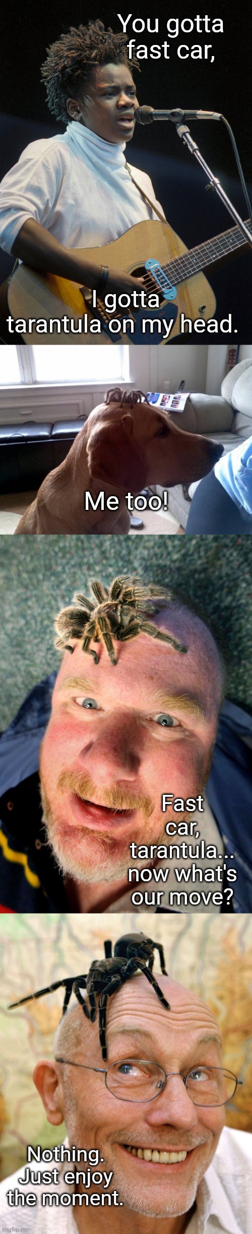 Fast cars and tarantulas | You gotta fast car, I gotta tarantula on my head. Me too! Fast car, tarantula... now what's our move? Nothing. Just enjoy the moment. | image tagged in fast cars and tarantulas | made w/ Imgflip meme maker